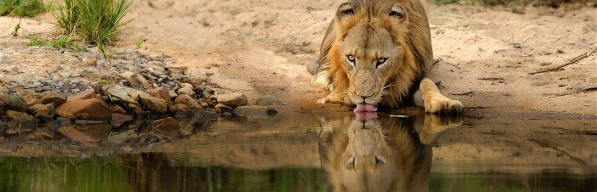 Singita Boulders Lodge